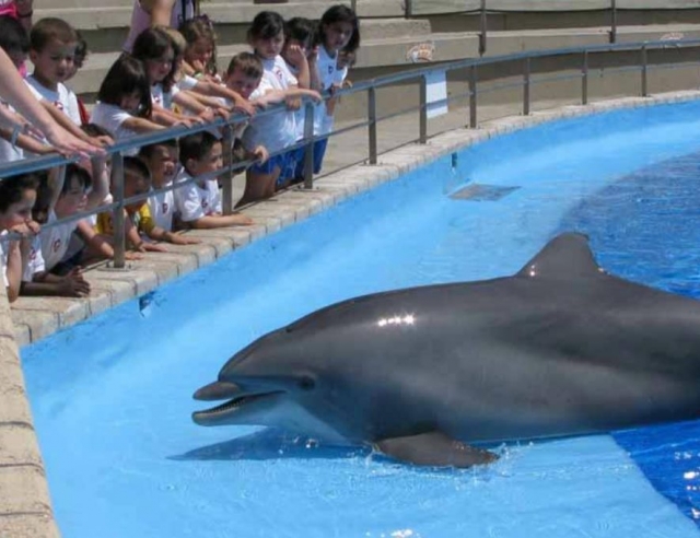Saliendo del agua para ver a los peques